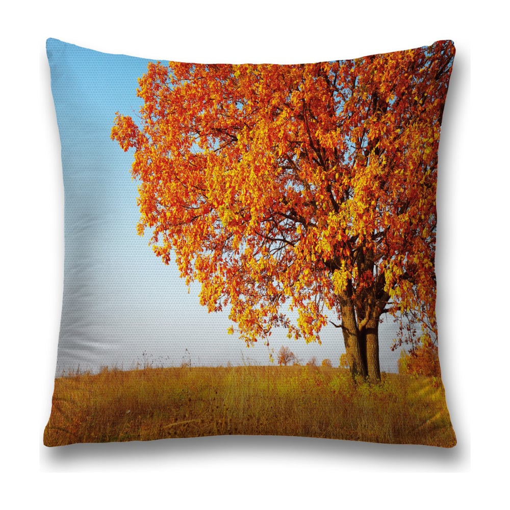 Изображение товара Декоративная наволочка JoyArty sl_37684 45х45 см полиэстер