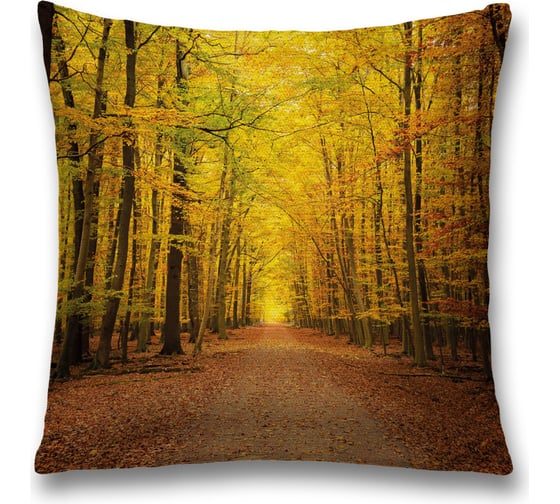 Изображение товара Декоративная наволочка JoyArty sl_37667