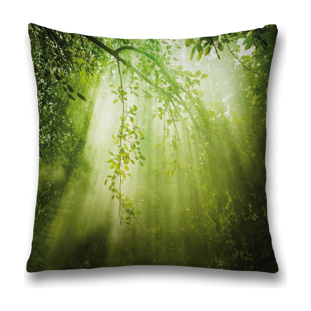 Изображение товара Декоративная наволочка JoyArty sl_18971 45х45 см зеленая