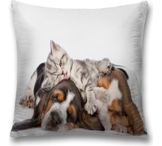 Изображение товара Декоративная наволочка JoyArty sl_38596