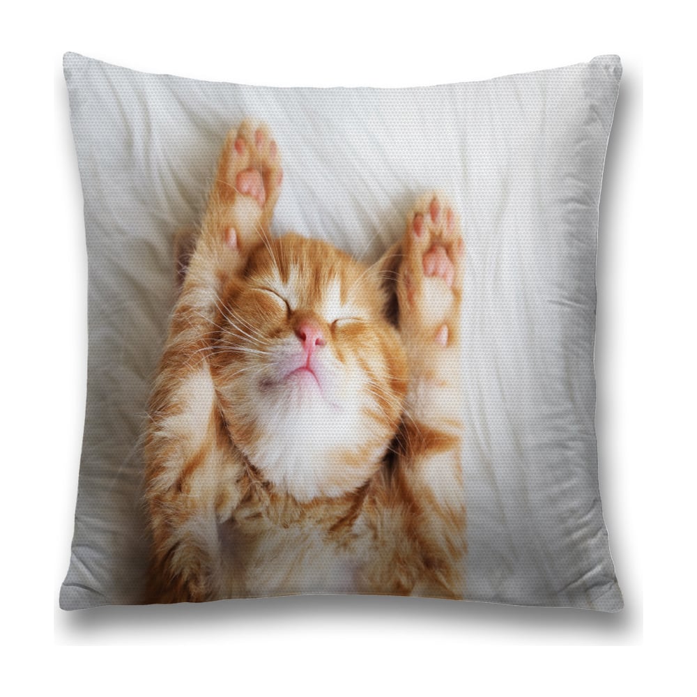 Изображение товара Декоративная наволочка JoyArty 45x45 см из полиэстера с молнией, подарочный дизайн