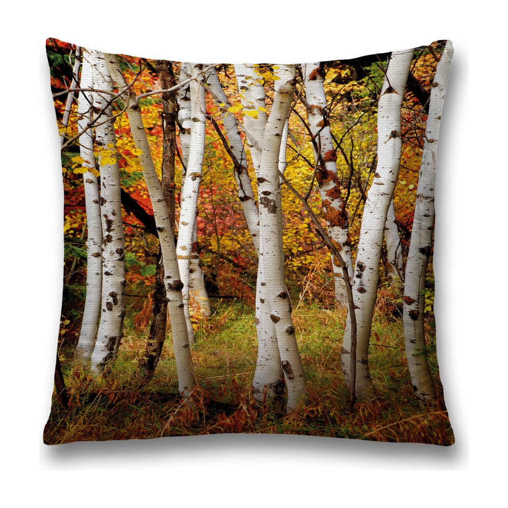 Изображение товара Декоративная наволочка JoyArty sl_37690 45х45 см оранжевая зеленая белая