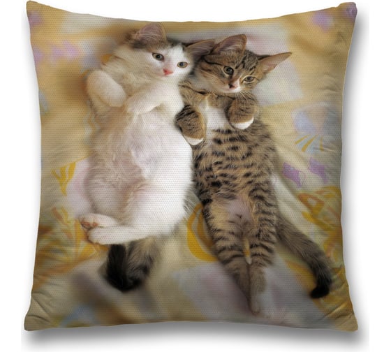 Изображение товара Декоративная наволочка JoyArty sl_38560