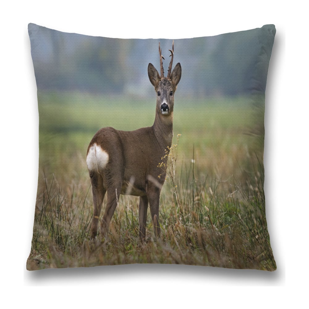 Изображение товара Декоративная наволочка JoyArty sl_35778 45х45 см из полиэстера