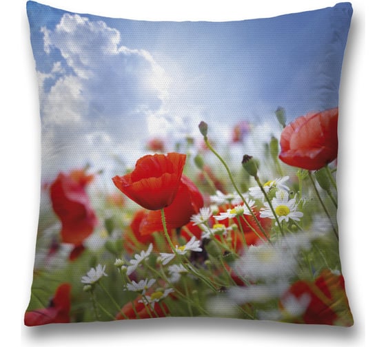 Изображение товара Декоративная наволочка JoyArty sl_36530