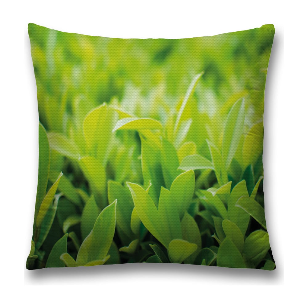 Изображение товара Декоративная наволочка JoyArty sl_38882 45х45 см из полиэстера с молнией