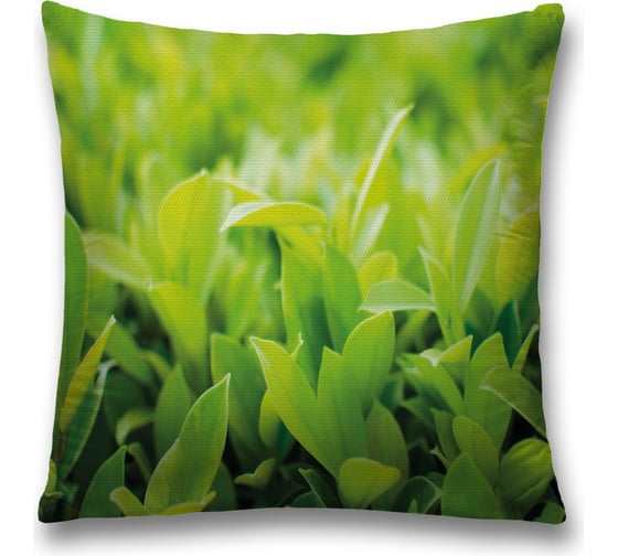 Изображение товара Декоративная наволочка JoyArty sl_38882