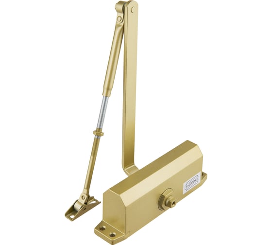 Изображение товара Доводчик PALIDORE 602 до 50 кг, золото (gold), морозостойкий 98760083