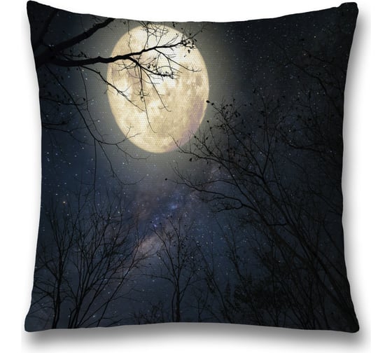 Изображение товара Декоративная наволочка JoyArty sl_35620