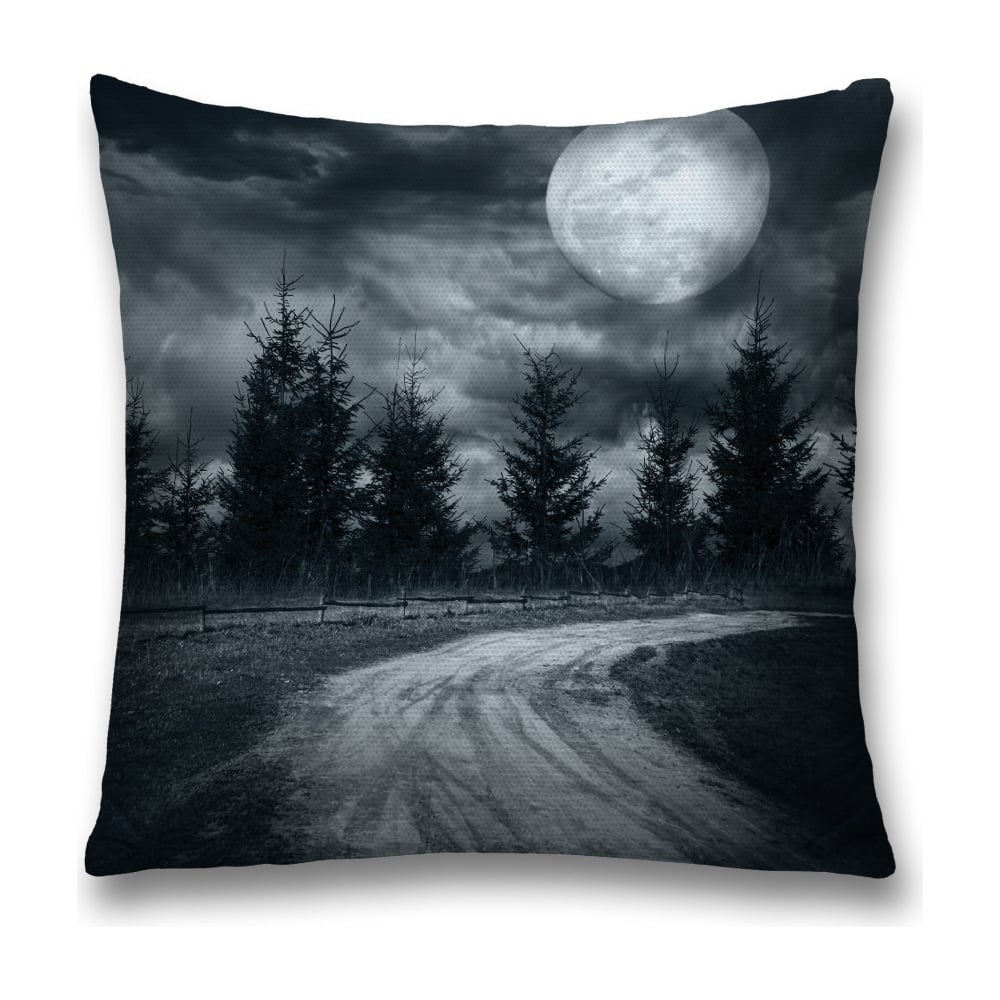 Изображение товара Декоративная наволочка JoyArty 45х45 черный и белый полиэстер молния