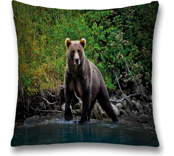 Изображение товара Декоративная наволочка JoyArty sl_35718