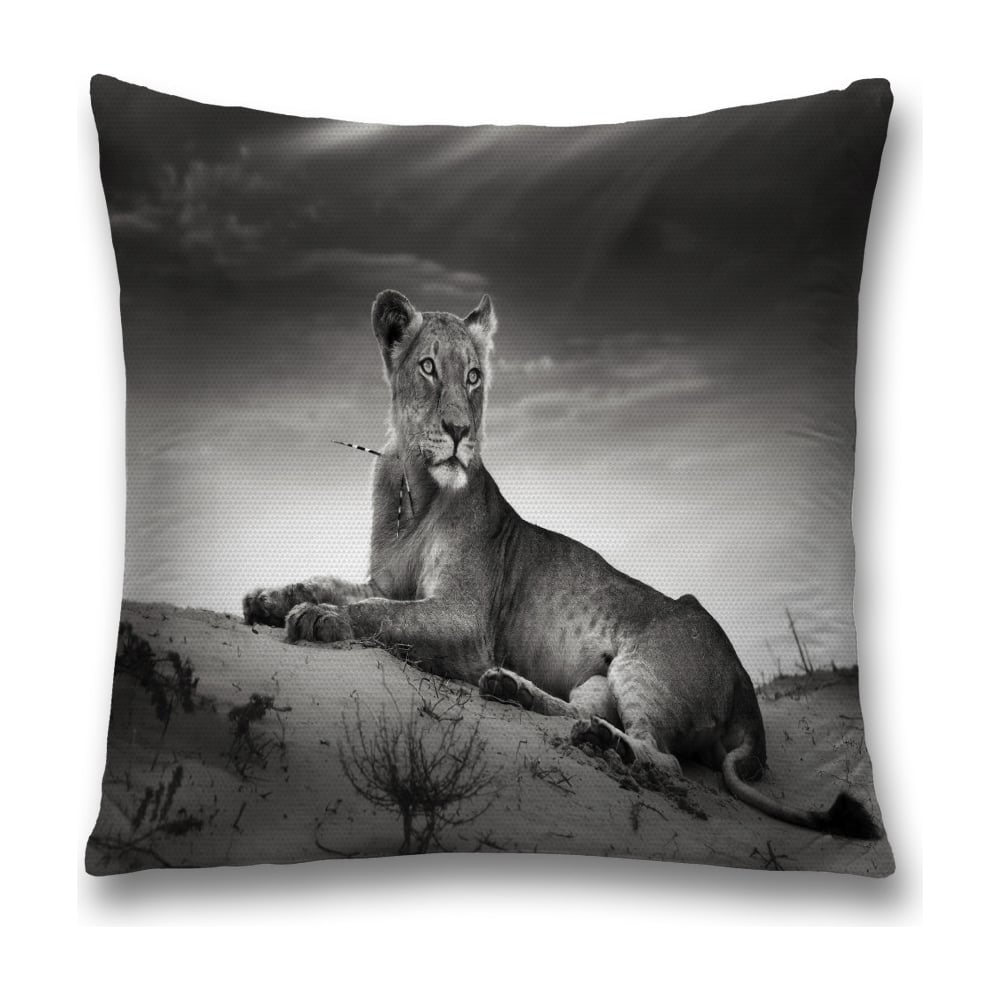 Изображение товара Декоративная наволочка JoyArty sl_38169 45x45 см из полиэстера с молнией