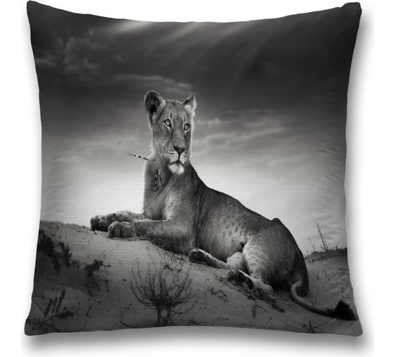 Изображение товара Декоративная наволочка JoyArty sl_38169