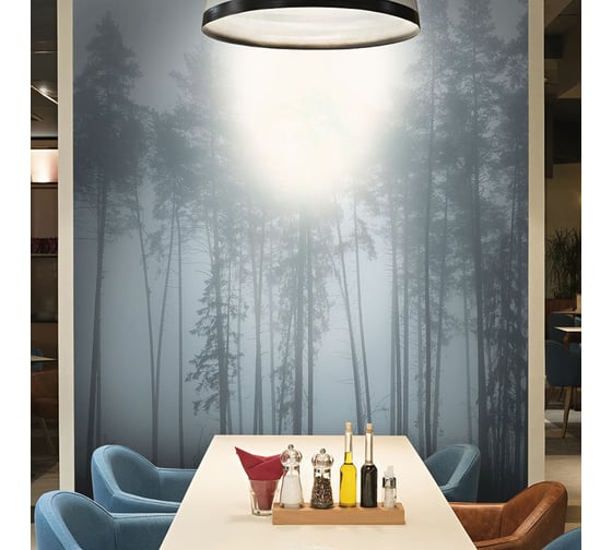 Изображение товара Фреска ООО Ортограф Foggy forest 4x2.7 м FX_34458