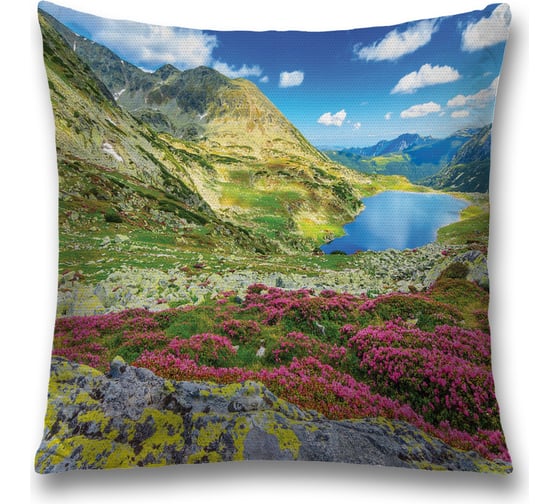 Изображение товара Декоративная наволочка JoyArty sl_19307