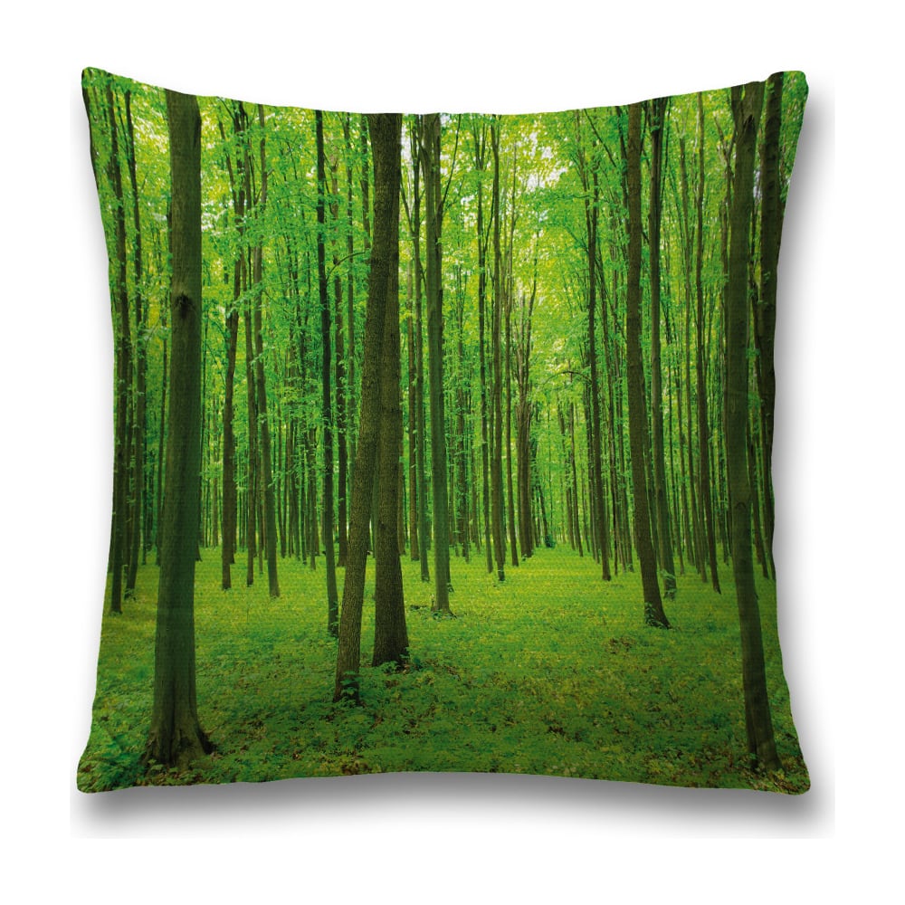 Изображение товара Декоративная наволочка JoyArty sl_18945 зеленая и черная