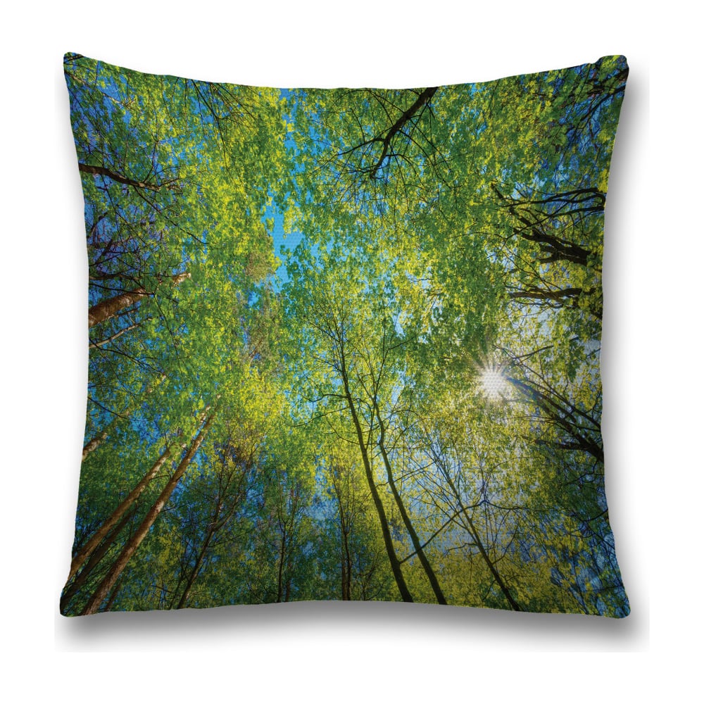 Изображение товара Декоративная наволочка JoyArty sl_20666 45x45 см с молнией для стильного декора