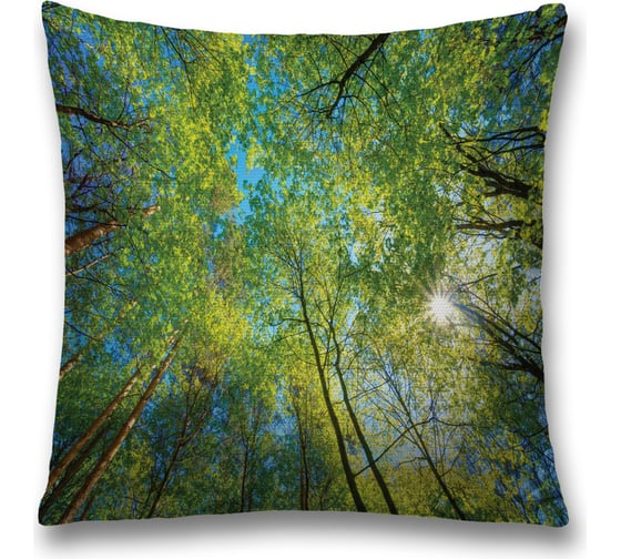 Изображение товара Декоративная наволочка JoyArty sl_20666