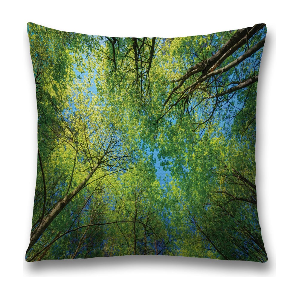 Изображение товара Декоративная наволочка JoyArty sl_20679 45х45 см полиэстер