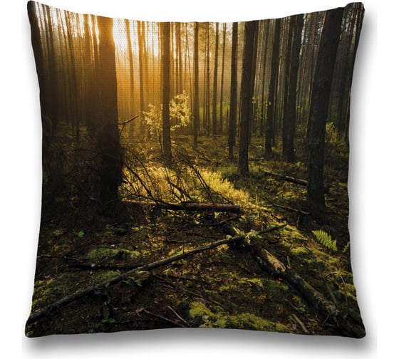 Изображение товара Декоративная наволочка JoyArty sl_32686