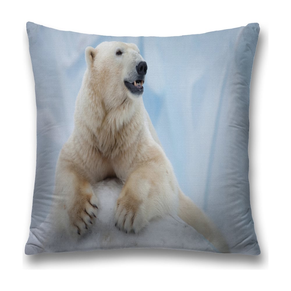 Изображение товара Декоративная наволочка JoyArty sl_37585 45х45 см для интерьера дома