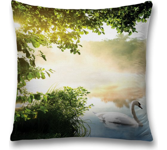 Изображение товара Декоративная наволочка JoyArty sl_18484