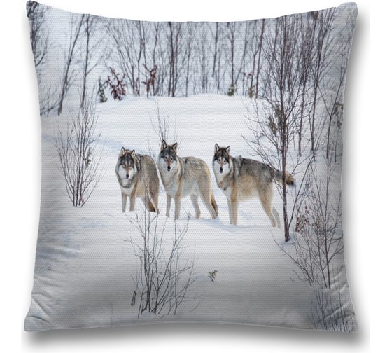 Изображение товара Декоративная наволочка JoyArty sl_18884