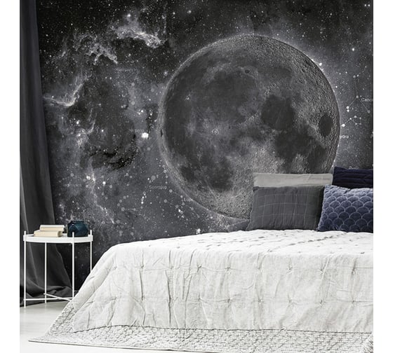 Изображение товара Фотообои ООО Ортограф Satellite dark 2.99x3 м OF_34200