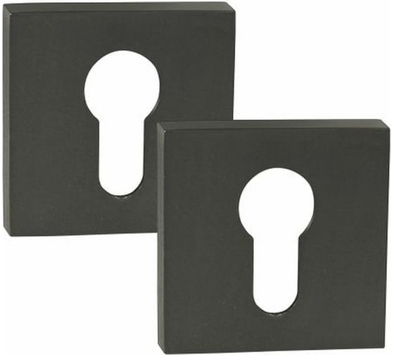 Изображение товара Ключевая накладка под цилиндр PALIDORE CWS graphit графит 98761032