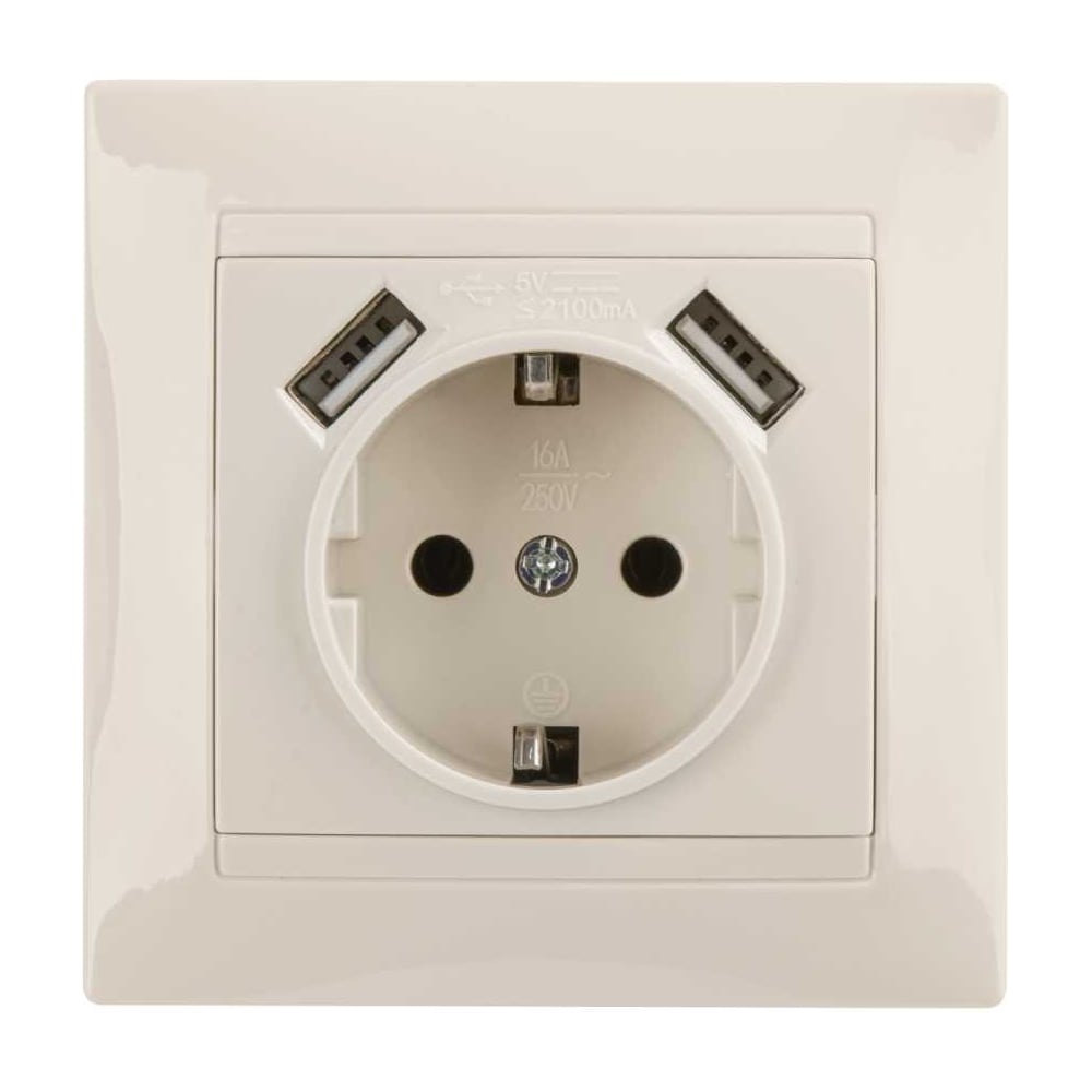 Изображение товара Розетка с USB TDM ELECTRIC Лама 2П+З 16A 250В слоновая кость SQ1815-0142