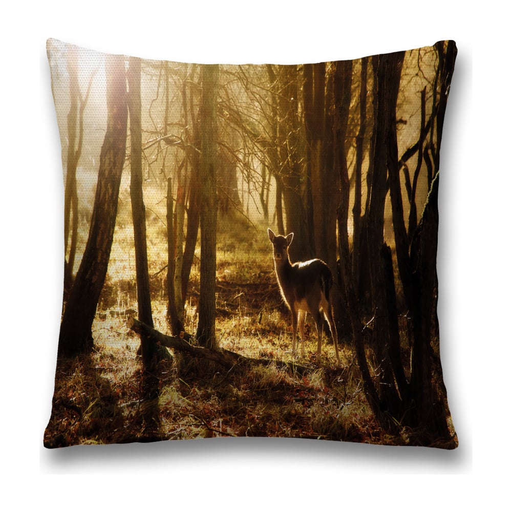 Изображение товара Декоративная наволочка JoyArty sl_35748