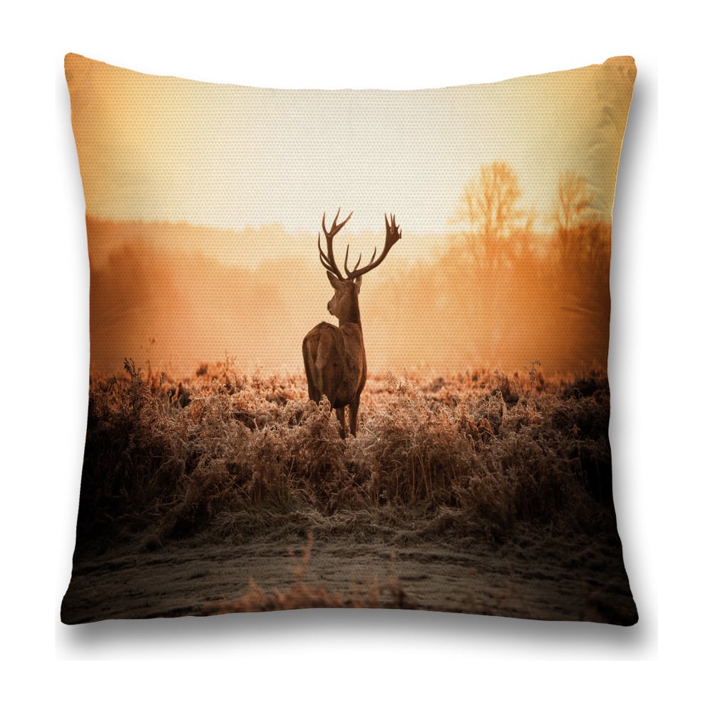 Изображение товара Декоративная наволочка JoyArty sl_35766 разноцветная 45х45 см