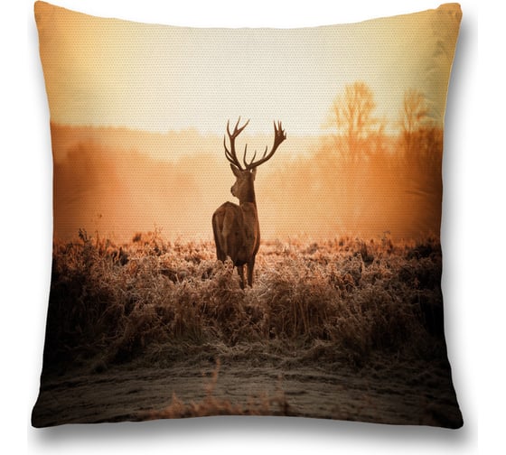 Изображение товара Декоративная наволочка JoyArty sl_35766