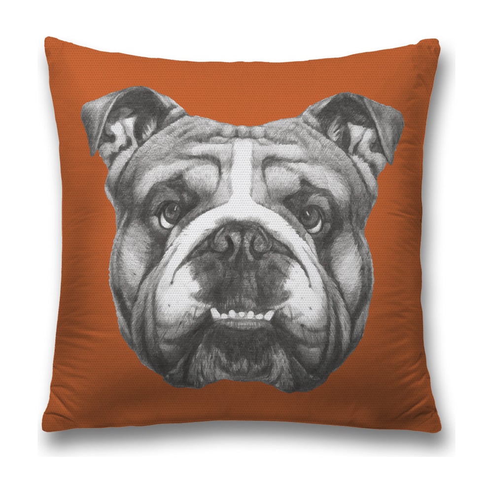 Изображение товара Декоративная наволочка JoyArty sl_33028 разноцветная 45х45 см