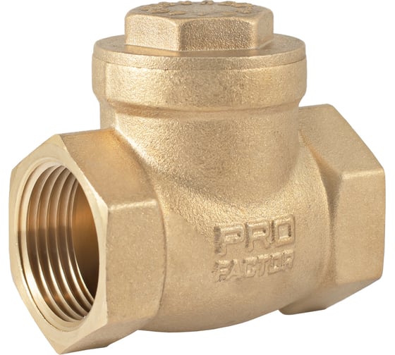 Изображение товара Обратный клапан PROFACTOR горизонтальный, в/в 1" PF CV 249.25