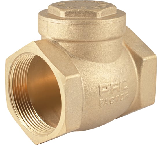 Изображение товара Обратный клапан PROFACTOR горизонтальный, в/в 2" PF CV 249.50