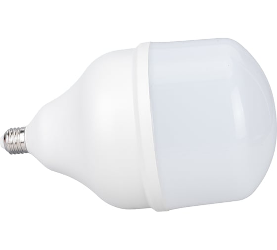 Изображение товара Светодиодная лампа Ecola High Power LED Premium 100W 220V универс. E27/E40 лампа 6000K 260x150mm HPD100ELC