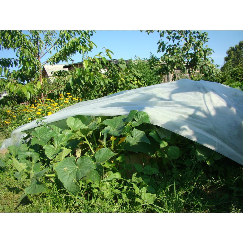 Изображение товара Нетканый материал Агротекс 1,6х20 м, 30 г/кв.м для защиты растений и теплиц