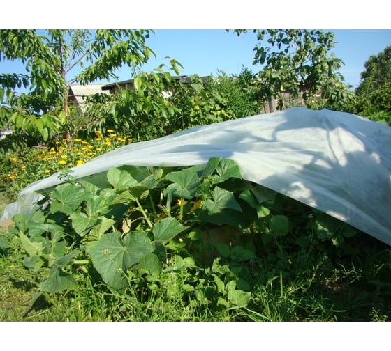 Изображение товара Материал нетканый 1.6х20 м, 30 г/кв.м Агротекс 32.01.17.01.01.030.0020.1600.00