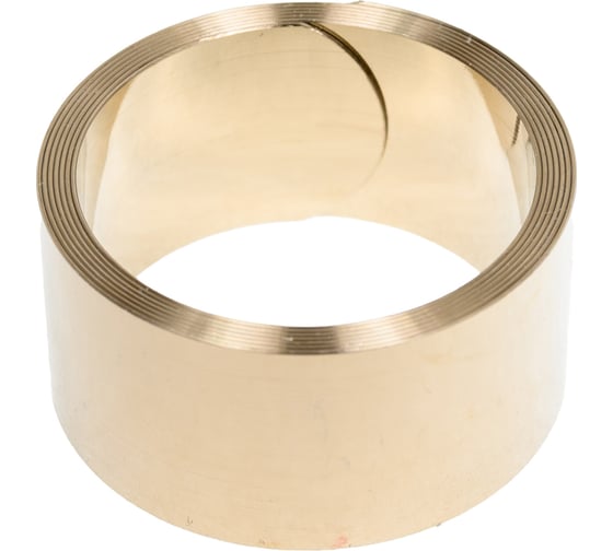 Изображение товара Роликовая пружина постоянного давления TDM ELECTRIC ПРПД-4 SQ0551-0004