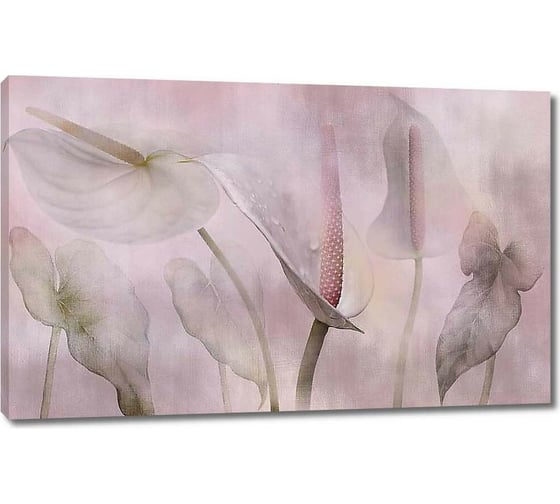Изображение товара Картина ООО Первое ателье Каллы в розовом тумане 35x22 см ps98642-1