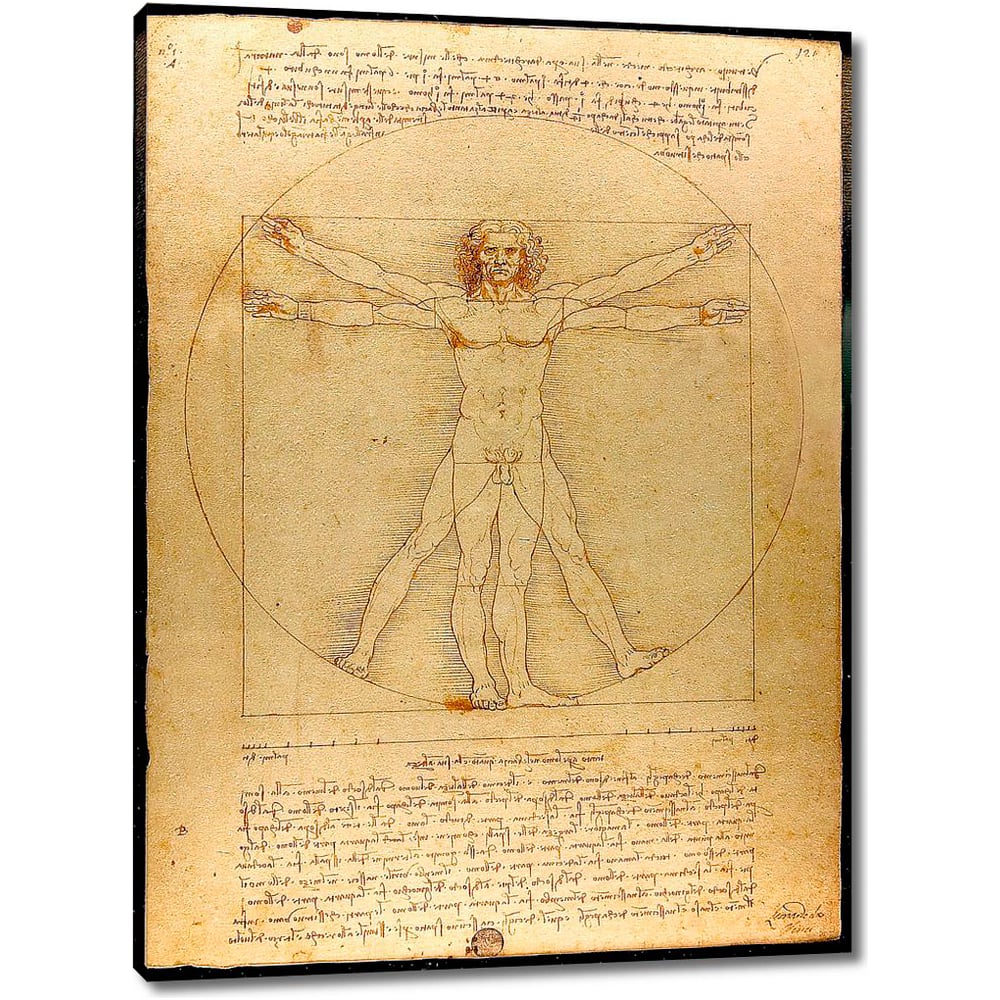 Изображение товара Картина репродукция Витрувианский человек 60x82 см, на холсте, стиль репродукция