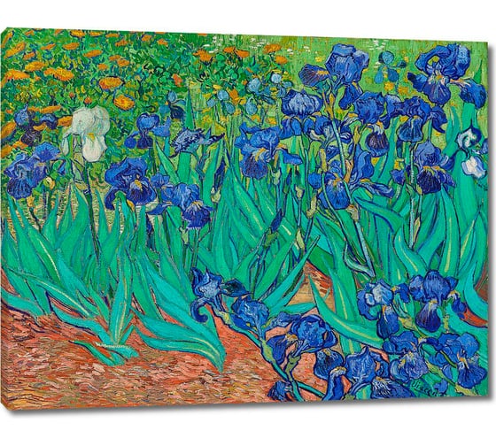 Изображение товара Картина-репродукция ООО Первое ателье Ирисы 80x61 см ps106042-4