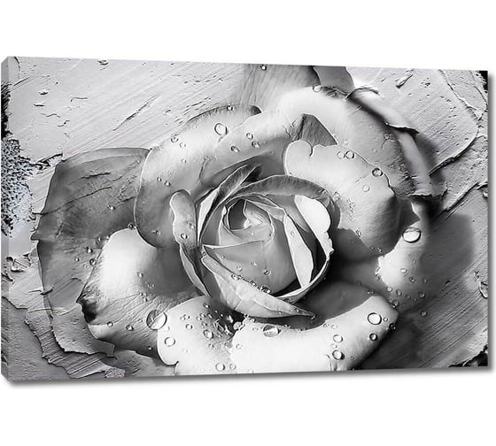 Изображение товара Картина Первое ателье "Черно-белая роза" 80x53 ШxВ ps97369-4