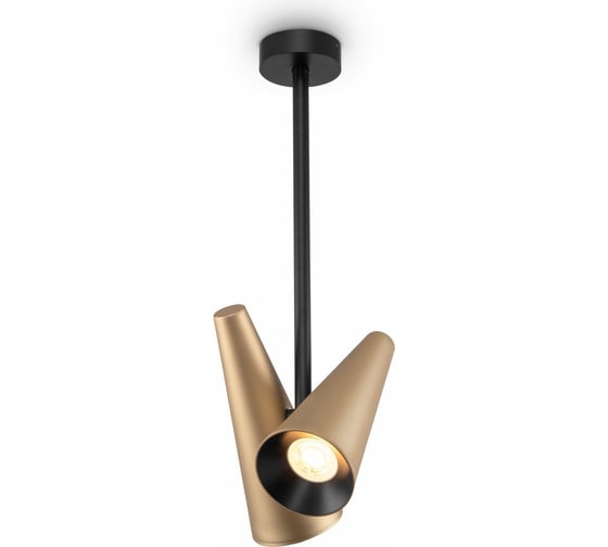 Изображение товара Потолочный светильник MAYTONI Giro 2хGU10x50 W MOD095CL-02BS