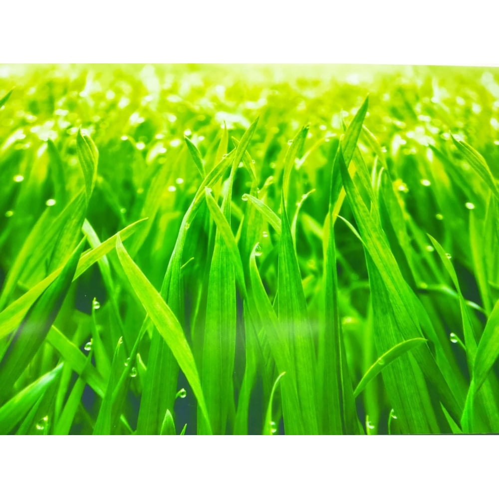 Универсальная самоклеящаяся пленка ООО ДЕКОР ТРЕЙДИНГ