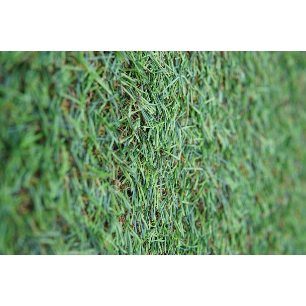 фото Искусственная трава comeforte