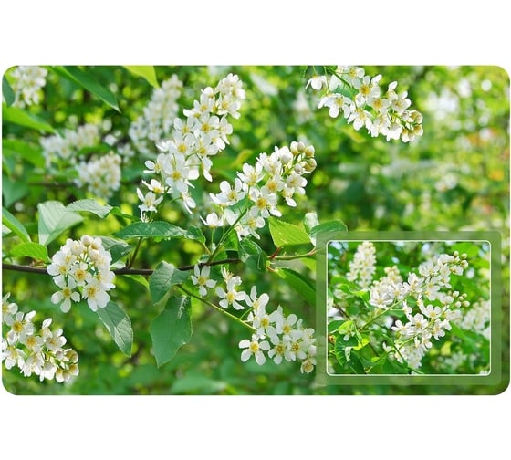 Изображение товара Салфетка МУЛЬТИДОМ Черёмуха 39х25 см FJ51-3