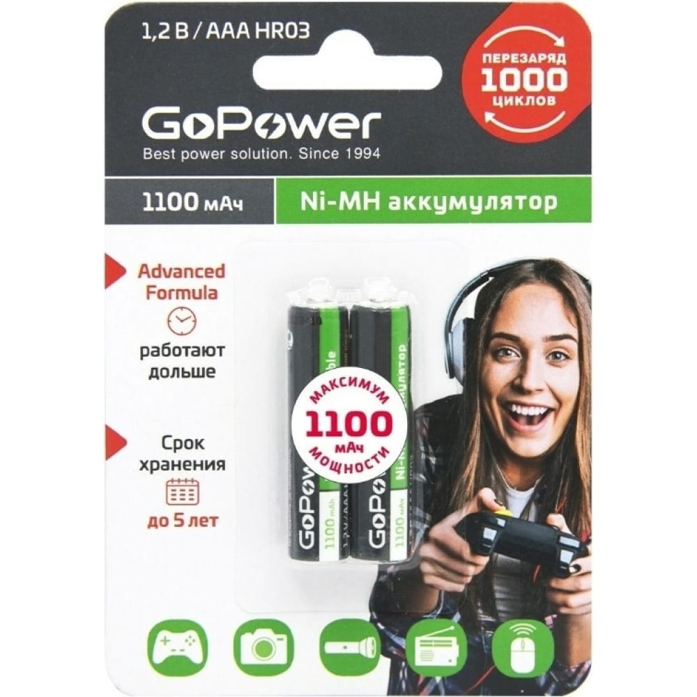 Бытовой аккумулятор GoPower - 00-00015316