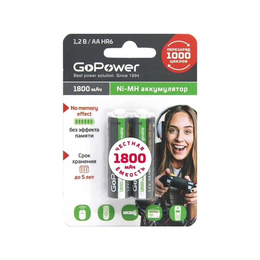 Бытовой аккумулятор GoPower - 00-00015317